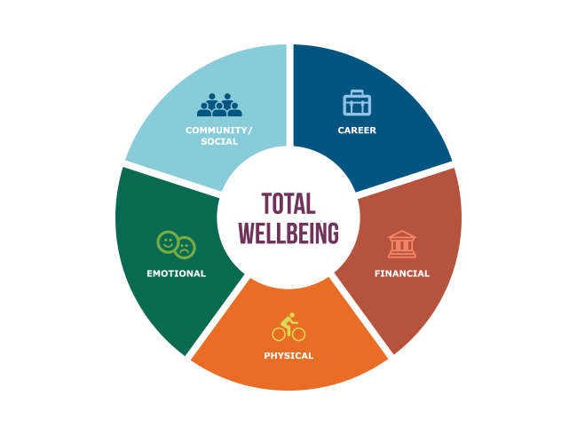 Wellness model infographic